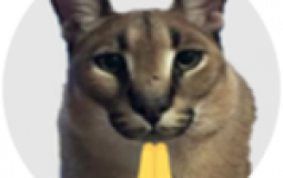 raise a floppa badge difficuykty